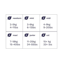 Carregar imagem no visualizador da galeria, Pura Pañales de bebé Premium Eco tamaño 4 (Maxi 10-17 kg) 5 paquetes de 29 pañales (145 en total), fibras vegetales naturales con certificado FSC, puros y respetuosos con el medio ambiente