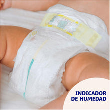 Laden Sie das Bild in den Galerie-Viewer.Dodot Pañales Sensitive Talla 1, 276 Unidades con 1 Pack de 40 Toallitas Regalo Pure Aqua - Pañales para Piel Sensible con Indicador de Humedad y Alta Absorción
