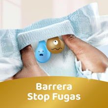 Upload image to gallery viewer, Dodot Sensitive Tamanho 3 absorção (6-10 kg), Megapack 168 fraldas