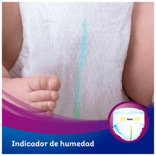 Carregar imagem no visualizador da galeria, Dodot Activity Pañales Talla 4+, 104 Pañales - 10-15 kg