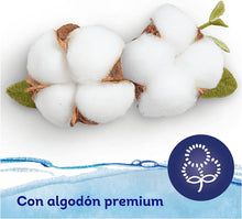 Carregar imagem no visualizador da galeria, Dodot Toallitas Aqua Pure para Bebé, 99% Agua, 672 Toallitas, 14 Paquetes (14 x 48) de Toallitas para Bebé
