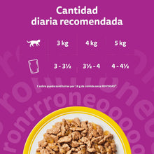 Carregar imagem no visualizador da galeria, Whiskas Comida húmida em gelatina para gatos seleção de aves 13 x 4 saquetas x 85 g