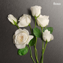 Carregar imagem no visualizador da galeria, CALVIN KLEIN ETERNITY Eau de Parfum for her