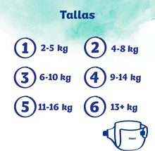 Upload image to gallery viewer, Dodot Pañales Bebé Cuidado Total Talla 1 (2-5kg), 105 uds + 10 Toallitas