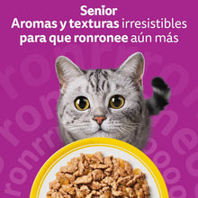 Carregar imagem no visualizador da galeria, Whiskas Comida húmida em gelatina para gatos seleção de aves 13 x 4 saquetas x 85 g