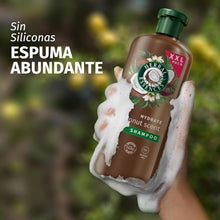 Cargar imagen en el visor de la galería, Herbal Essences champô hidratante com leite de coco e condicionador hidratante com leite de coco, para cabelo seco, 680 ml