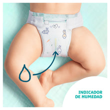 Carregar imagem no visualizador da galeria, Dodot Pañales Bebé Cuidado Total Talla 4 (9-14 kg), 120 Pañales, Suave Protección de la Piel con Ingredientes de Origen Vegetal