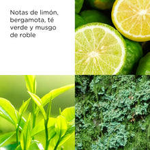 Carregar imagem no visualizador da galeria, Elizabeth Arden Green Tea, Eau Parfum, Perfume con Esencias Naturales de Té Verde y Bergamota, Refrescante Floral y Cítrico, Despierta los Sentidos, Aporta Energía, Perfume para Mujer 100 ml