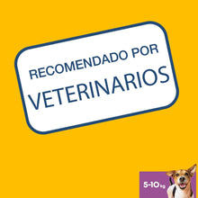 Carregar imagem no visualizador da galeria, Pedigree Dentastix X7 Snack Dental para Higiene Oral de Cães Pequenos 110g