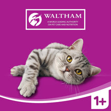 Carregar imagem no visualizador da galeria, Whiskas - Bolsas de comida húmeda, deliciosa y sabrosa selección de aves en gelatina, adecuada para gatos de 1 a 1 años, mega paquete de 120 x 100 g