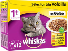 Carregar imagem no visualizador da galeria, Whiskas - Bolsas de comida húmeda, deliciosa y sabrosa selección de aves en gelatina, adecuada para gatos de 1 a 1 años, mega paquete de 120 x 100 g