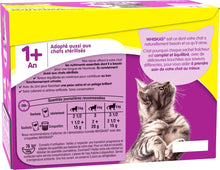 Carregar imagem no visualizador da galeria, Whiskas - Bolsas de comida húmeda, deliciosa y sabrosa selección de aves en gelatina, adecuada para gatos de 1 a 1 años, mega paquete de 120 x 100 g