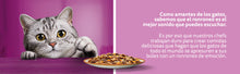 Carregar imagem no visualizador da galeria, Whiskas - Bolsas de comida húmeda, deliciosa y sabrosa selección de aves en gelatina, adecuada para gatos de 1 años, mega paquete de 85g