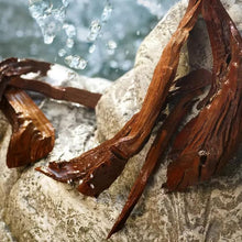 Carregar imagem no visualizador da galeria, Dolce &amp; Gabana Light Blue Eau de Toilette para mujeres - 100 ml
