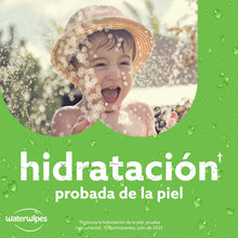Carregar imagem no visualizador da galeria, WaterWipes Limpieza Hidratante Toallitas para Bebé, 720 Toallitas (12 Pack), con 99% de Agua y Extracto de Aloe Vera, Toallitas húmedas para Rostro y Cuerpo
