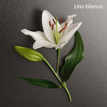 Carregar imagem no visualizador da galeria, CALVIN KLEIN ETERNITY Eau de Parfum for her
