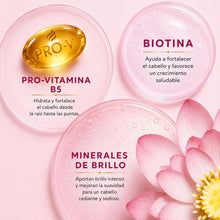Upload image to gallery viewer, Pantene Pro-V Miracles Colour Gloss Acondicionador Pack 6 x 160 ml, Biotina y Minerales de Brillo, Cabello Teñido, Reparación Profunda, Suavidad y Brillo Intenso, Cuidado Capilar para Pelo Dañado
