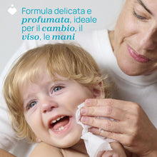 Carregar imagem no visualizador da galeria, Toallitas Multiuso Para Bebés, Con Clip, Sin Alcohol, Perfumadas, Adecuadas Para Pieles Sensibles, Megapack de 864 Toallitas, 12 Paquetes de 72 Toallitas Cada Uno
