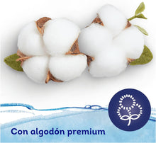 Carregar imagem no visualizador da galeria, Dodot Aqua Pure Toalhitas bebé com 99 % água, 18 embalagens, 864 toalhitas
