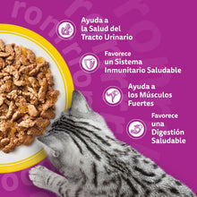 Carregar imagem no visualizador da galeria, Whiskas Comida húmida em gelatina para gatos seleção de aves 13 x 4 saquetas x 85 g
