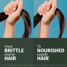 Carregar imagem no visualizador da galeria, Herbal Essences Shampoo 680 ml e condicionador 2 x 350 ml, reparador com óleo de argão, para cabelo seco e danificado
