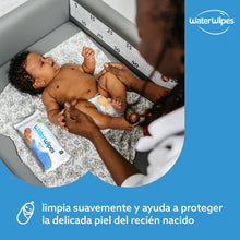 Carregar imagem no visualizador da galeria, WaterWipes Toallitas húmedas Originales para Bebés, Sin Plástico, 240 unidades (Paquete de 4), 99,9% Base de Agua, y Sin Perfume para Pieles Sensibles
