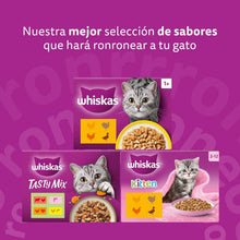 Carregar imagem no visualizador da galeria, Whiskas Comida húmida em gelatina para gatos seleção de aves 13 x 4 saquetas x 85 g
