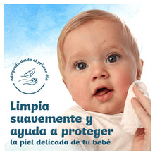 Carregar imagem no visualizador da galeria, Dodot Toallitas Pure Aqua Para Bebé, 0% plástico 14 Paquetes De 48 Unidades = 672 Toallitas, Elaboradas Con 99% De Agua Para Una Limpieza Delicada

