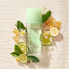 Carregar imagem no visualizador da galeria, Elizabeth Arden Green Tea, Eau Parfum, Perfume con Esencias Naturales de Té Verde y Bergamota, Refrescante Floral y Cítrico, Despierta los Sentidos, Aporta Energía, Perfume para Mujer 100 ml
