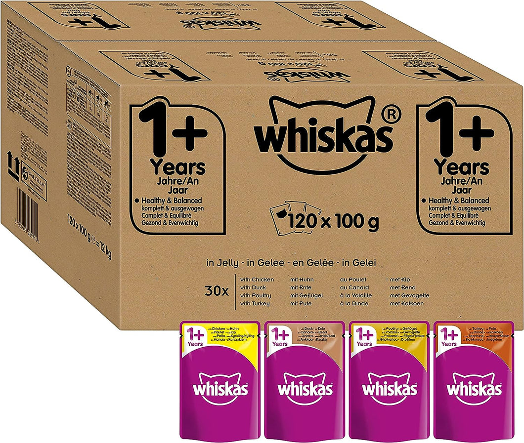 Whiskas - Bolsas de comida húmeda, deliciosa y sabrosa selección de aves en gelatina, adecuada para gatos de 1 a 1 años, mega paquete de 120 x 100 g