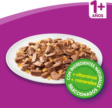 Carregar imagem no visualizador da galeria, Whiskas - Bolsas de comida húmeda, deliciosa y sabrosa selección de aves en gelatina, adecuada para gatos de 1 años, mega paquete de 85g
