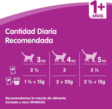 Carregar imagem no visualizador da galeria, Whiskas - Bolsas de comida húmeda, deliciosa y sabrosa selección de aves en gelatina, adecuada para gatos de 1 años, mega paquete de 85g

