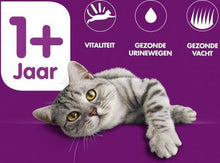 Carregar imagem no visualizador da galeria, Whiskas Adulto 1+ Alimento Húmido em Molho - Mega Pack 80x100g - 8kg | Diversidade de Sabores | Nutrição Completa para Gatos Adultos a Partir de 1 Ano | Reforce a Saúde e Vitalidade do seu Gato!
